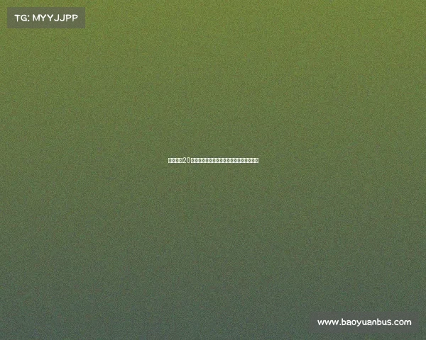 记者：恰20接受费内巴切报价并希望尽快完成转会手续